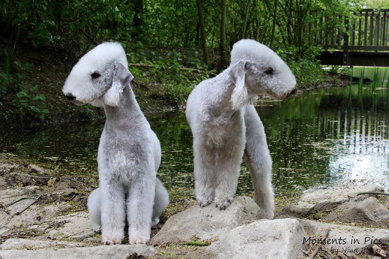 2010-05-01 Svet und Aveline (28).JPG